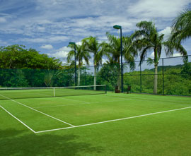 Tennis Grass