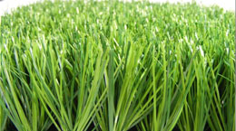 Pak Trio Grass