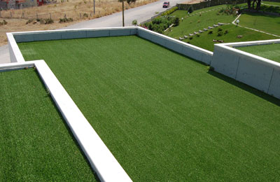 Terrace Grass